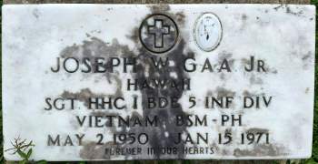 Joseph W Gaa