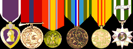 Purple Heart, Good Conduct, National Defense, AF Expeditionary Medal, Vietnam Service, Vietnam Campaign