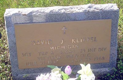 David J Klippel