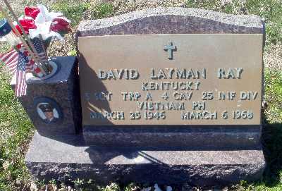 David L Ray