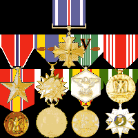 DFC, Bronze Star, Air Medal, Army Commendation, Army Good Conduct, National Defense, WW2 Occupation, Vietnam Service, Vietnam Campaign