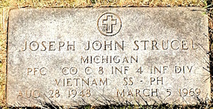 Joseph J Strucel