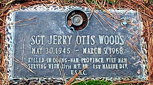 Jerry O Woods