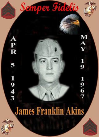 James F Akins