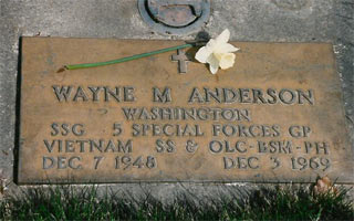 Wayne M Anderson