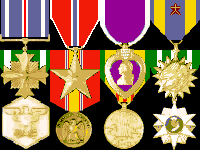 DFC, Bronze Star, Purple Heart, Air Medal, Navy Commendation, National Defense, Vietnam Service, Vietnam Campaign
