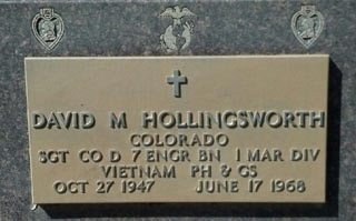 David M Hollingsworth