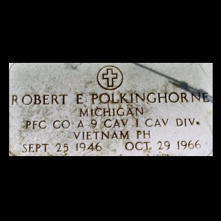 Robert E Polkinghorne