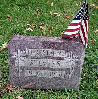 Forestal A Stevens