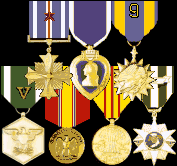 DFC (2 awards), Purple Heart, Air Medal (9 Flight), Navy Commendation w/ Combat V, National Defense, Vietnam Campaign, Vietnam Service